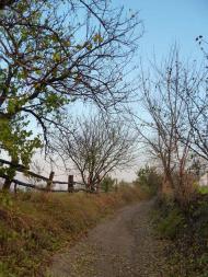 Фесюри з panoramio.com