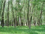 Зимівники з panoramio.com