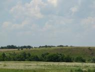 Рогізна з panoramio.com