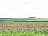 Ракова з panoramio.com