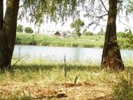 Козацьке з panoramio.com