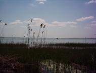 Комишівка з panoramio.com