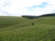 Дзюньків з panoramio.com