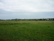 Широка Балка з panoramio.com