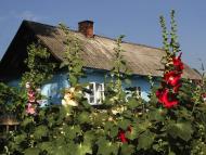 Петрове з panoramio.com