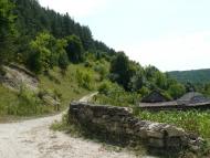 Сприсівка з panoramio.com