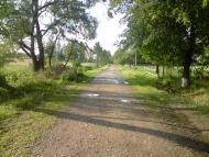 Конів з panoramio.com