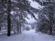 Геївка з panoramio.com - Geyivka