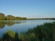 Машівка з panoramio.com