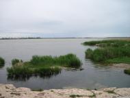 Білозерка з panoramio.com