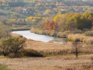 Литвинівка з panoramio.com