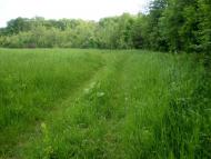 Радецька Болярка з panoramio.com