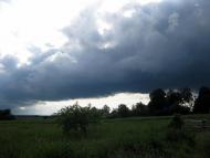 Веснянка з panoramio.com