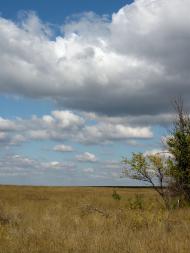 Мала Мартинівка з panoramio.com