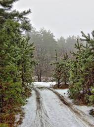 Рясне-Руське з panoramio.com