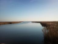 Нова Некрасівка з panoramio.com