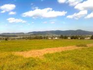 Пшеничники з panoramio.com