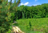 Балаклея з panoramio.com