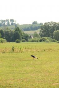 Деркачівка з panoramio.com