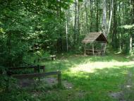 Скулин з panoramio.com