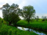 Біле з panoramio.com