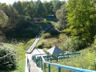 Сорокопень з panoramio.com