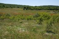 Красна Зоря з panoramio.com