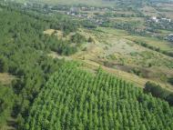 Городище з panoramio.com