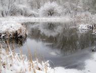 Червоний Донець з panoramio.com - Червоный Донец