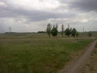 Павлівка з panoramio.com