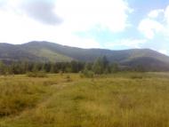 Пшеничники з panoramio.com