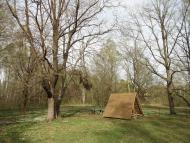 Скулин з panoramio.com