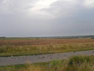 Гожули з panoramio.com