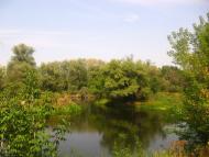 Залиман з panoramio.com