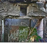 В'язівка з panoramio.com