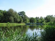 Зелений Гай з panoramio.com