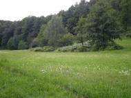 Осій з panoramio.com