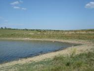 Вигода з panoramio.com