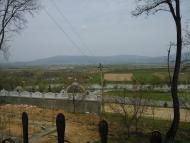 Дібрівка - Останні фото