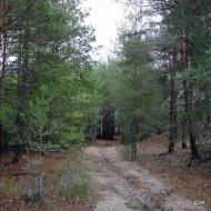 Карабинівка з panoramio.com