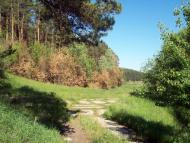 Мала Снітинка з panoramio.com