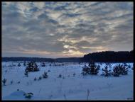 Лісопіль з panoramio.com