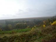 Кузьминчик з panoramio.com