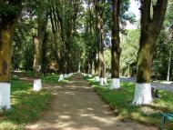 Снятин з panoramio.com