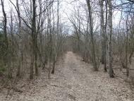 Пристроми - Останні фото