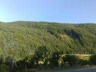 Сасівка з panoramio.com