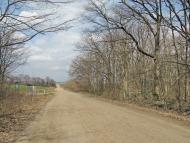 Бандурове з panoramio.com