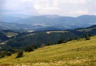 Ялинкувате з panoramio.com