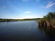 Красний Партизан з panoramio.com