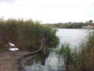 Прилиманське з panoramio.com